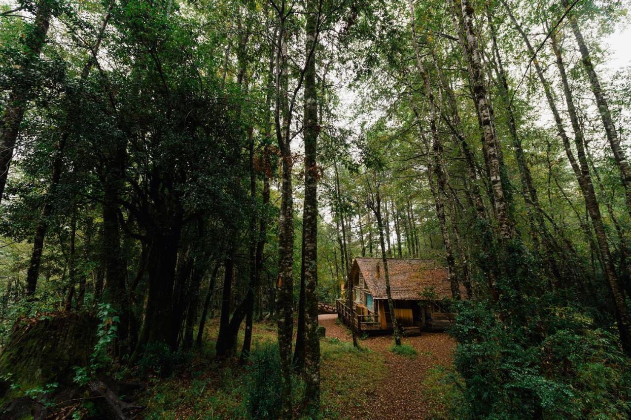 Huilo Huilo Cabanas Del Bosque Puerto Fuy Room photo